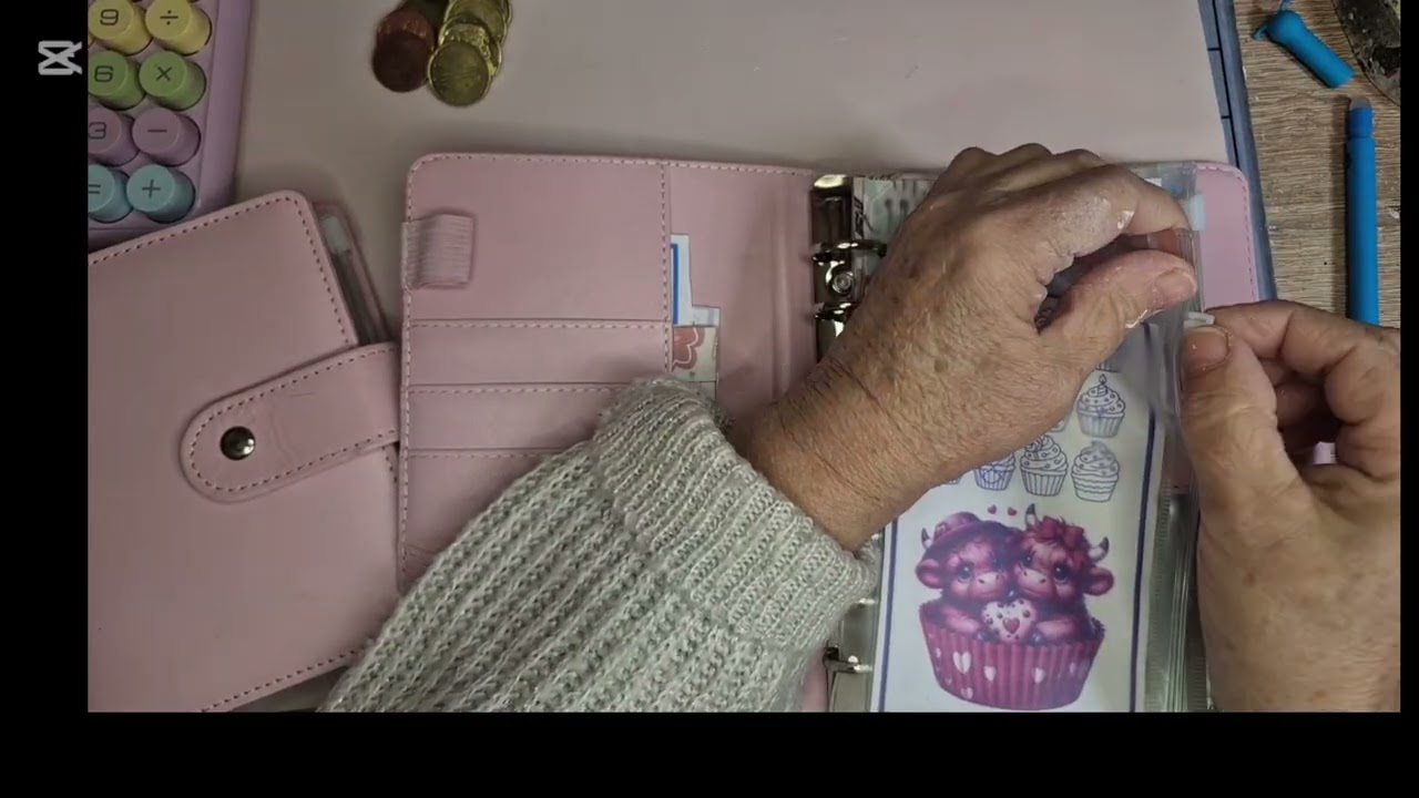 Resumen dua 12 y juegos con retos de ahorro 