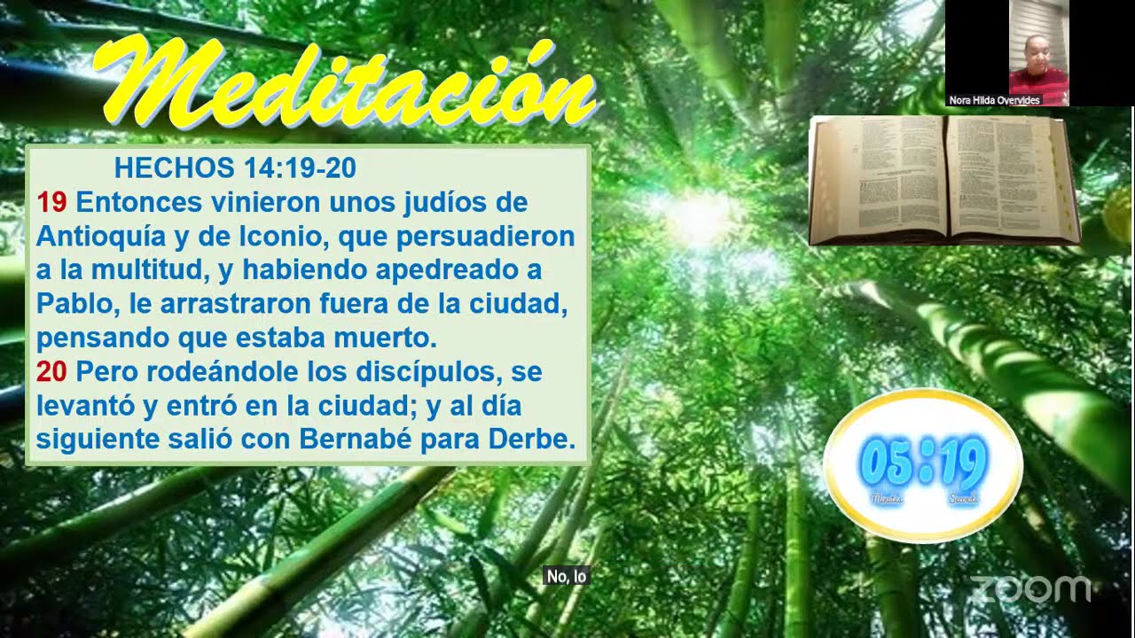 HECHOS 14:19-20 POR NORA HILDA OYERVIDES