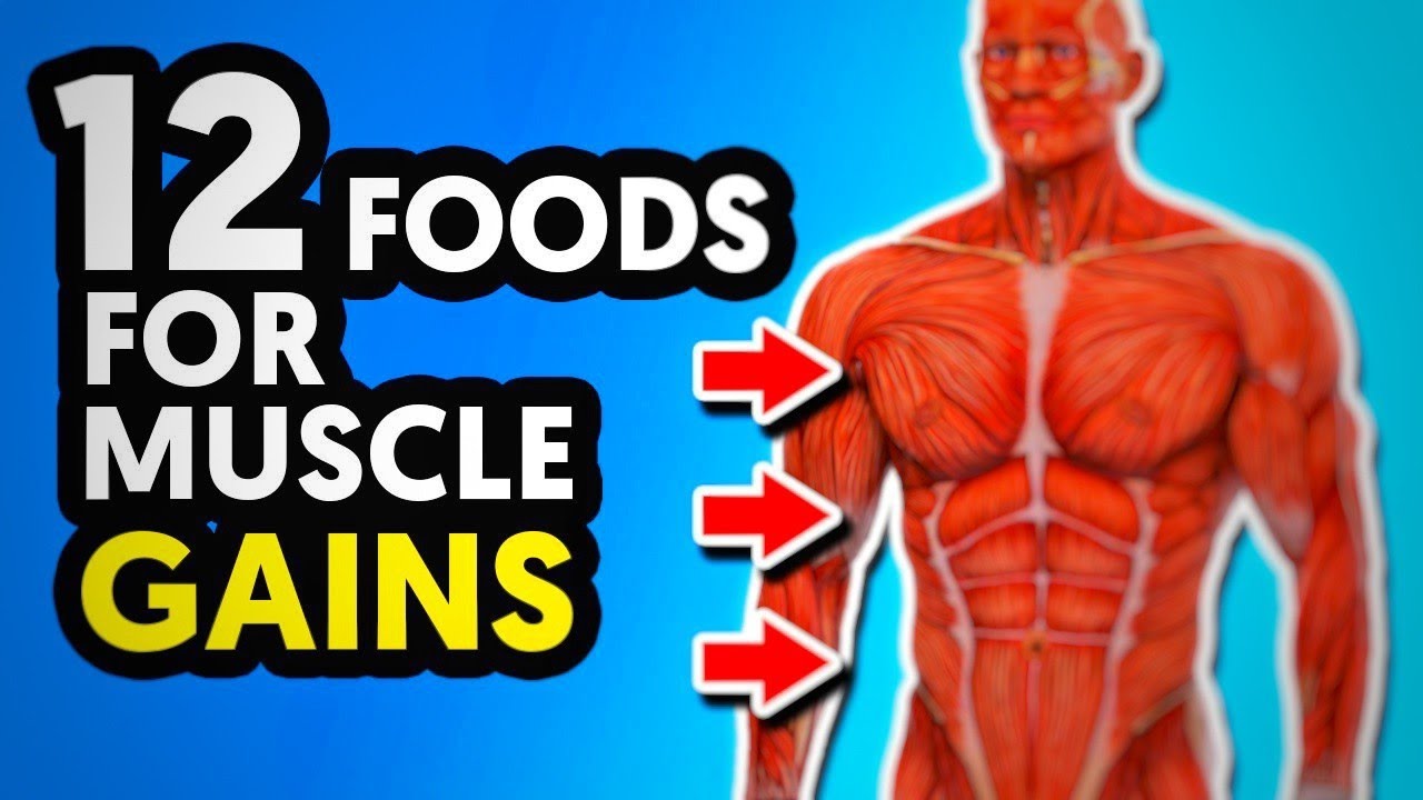 12 Best Food For Muscle Building and Strength