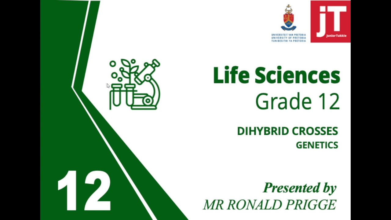 Gr 12 - Life Sciences - Genetics - Dihybrid Crosses