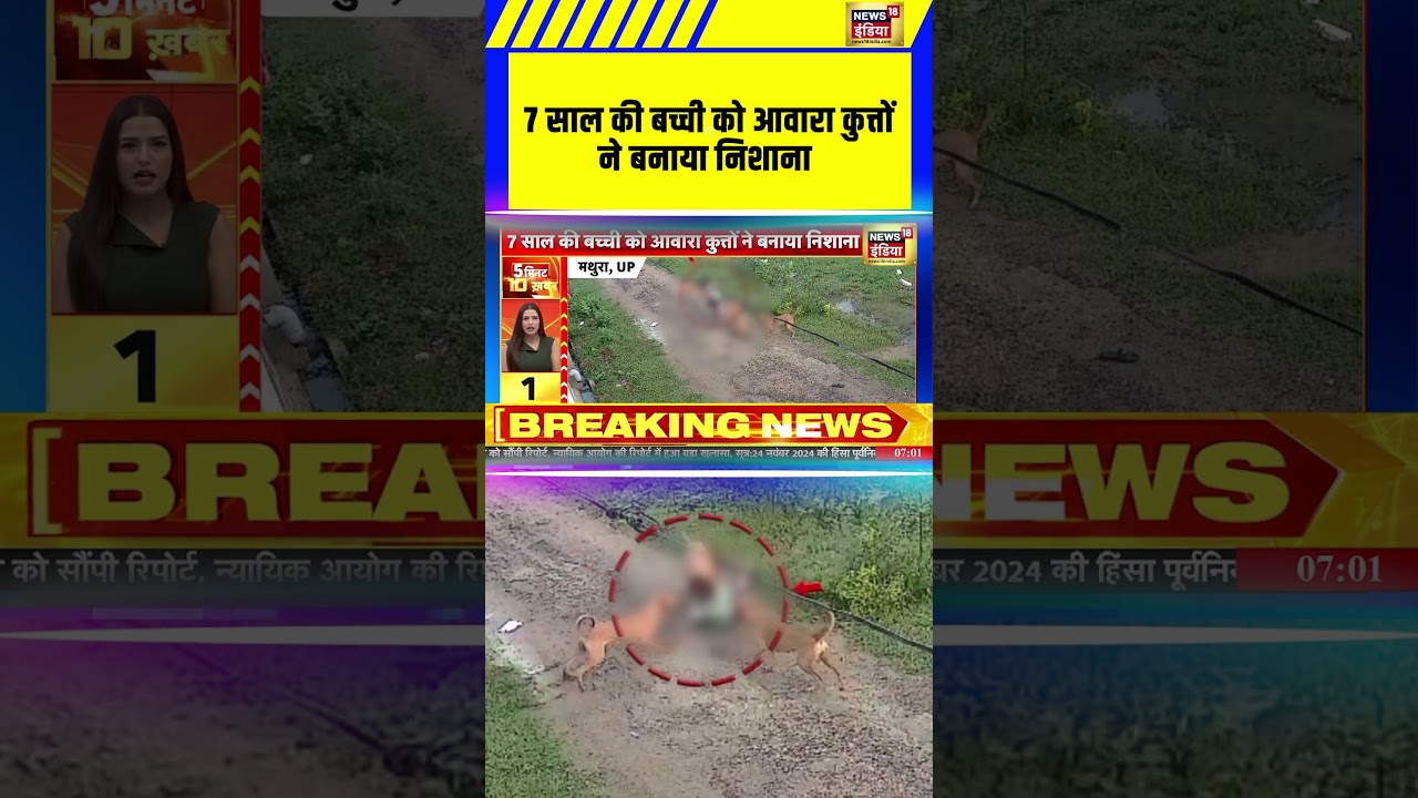 Dog Attack: 7 साल की बच्ची को आवारा कुत्तों ने बनाया निशाना | #viralvideo #dogattacks