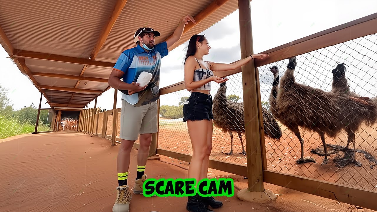 BEST SCARE CAM Priceless Reactions 2025😈#250 | Funny Scare Cam 🤣| Jump Scare 😂| CoCo Scare Cam |
