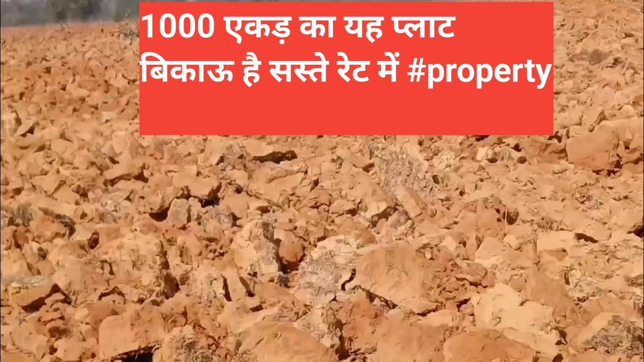 1000 एकड़ का यह प्लाट बिकाऊ है सस्ते रेट में#property 