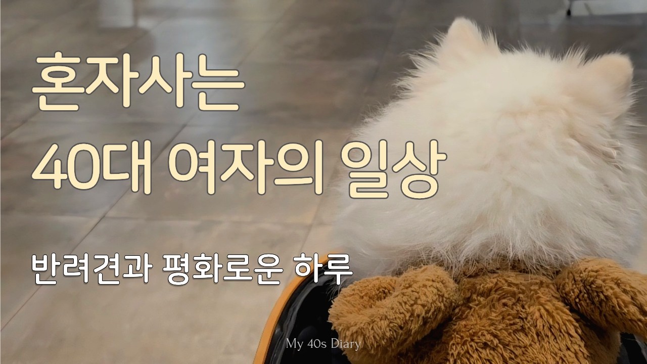 혼자 사는 40대 여자. 나를 챙기며 사는 하루 루틴ㅣ반려견과 보내는 조용한 일상