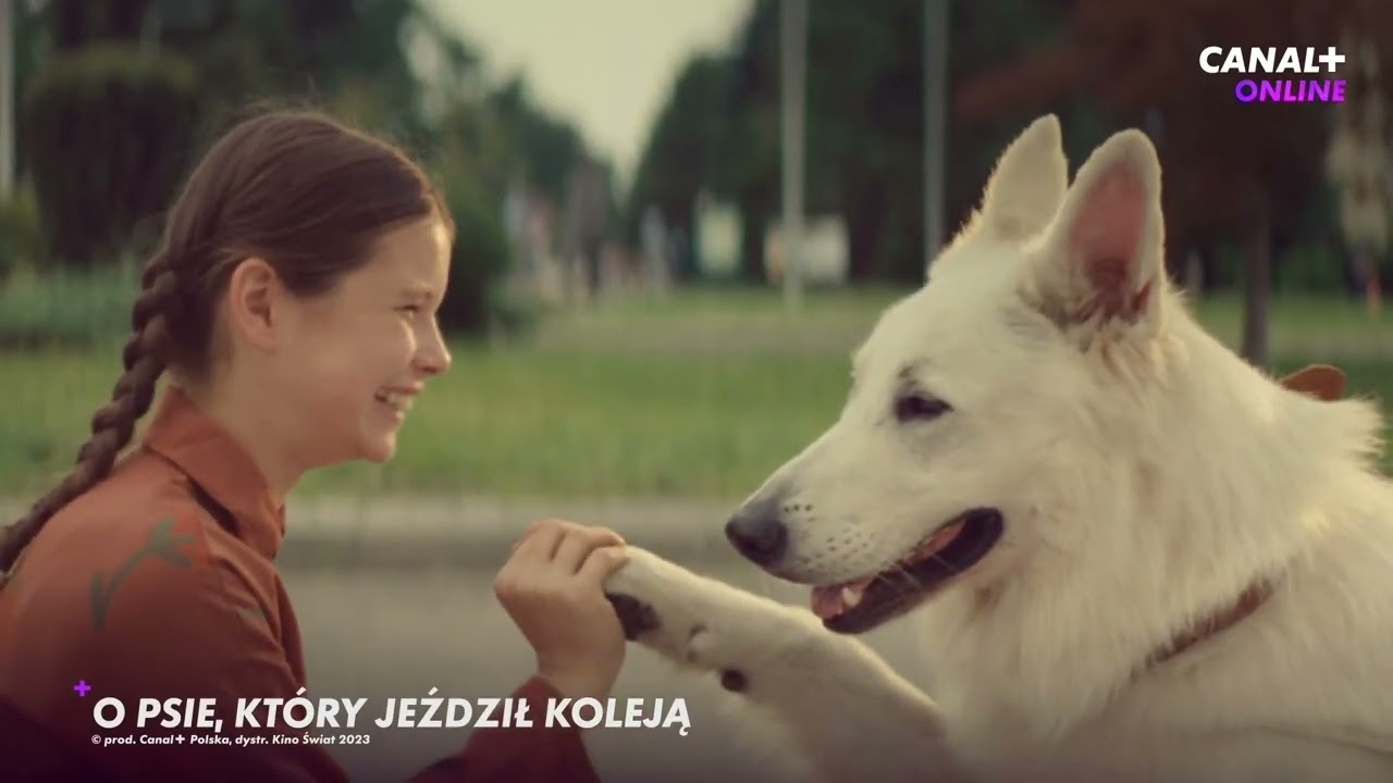 CANAL+ online już dostępny w ASTA-NET