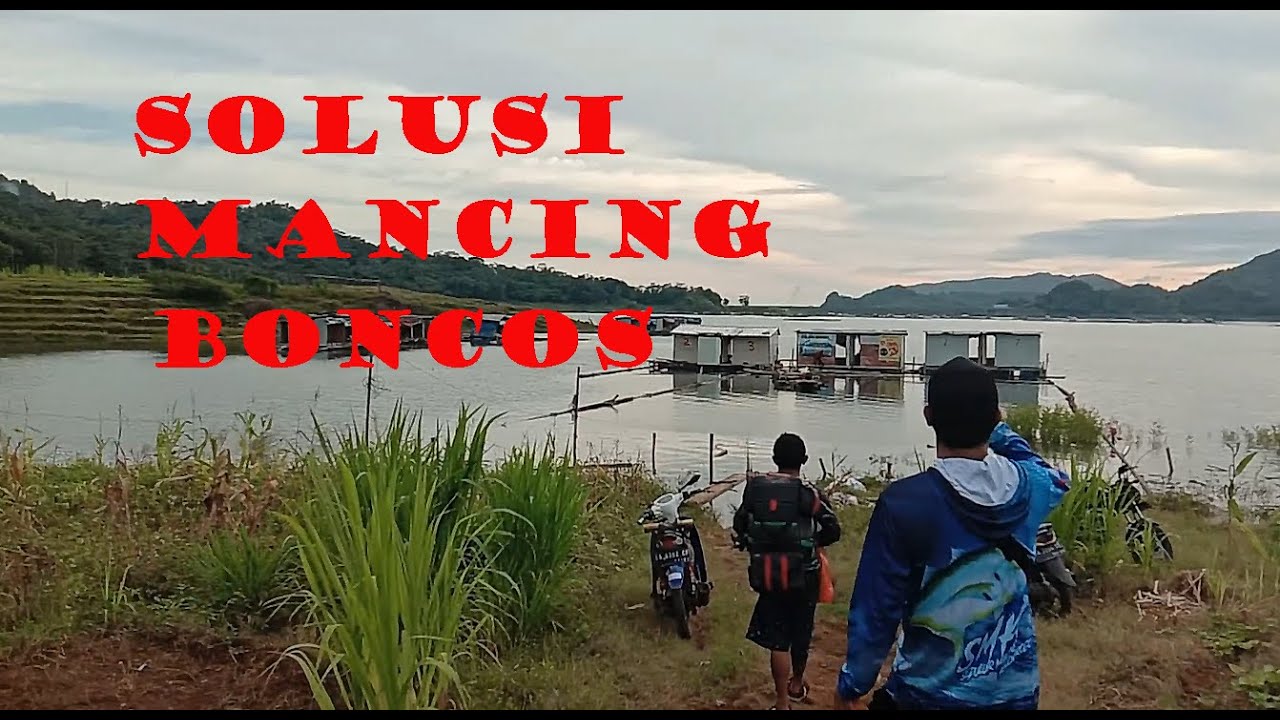 Cara mancing ikan nila anti boncos !! ini solusinya