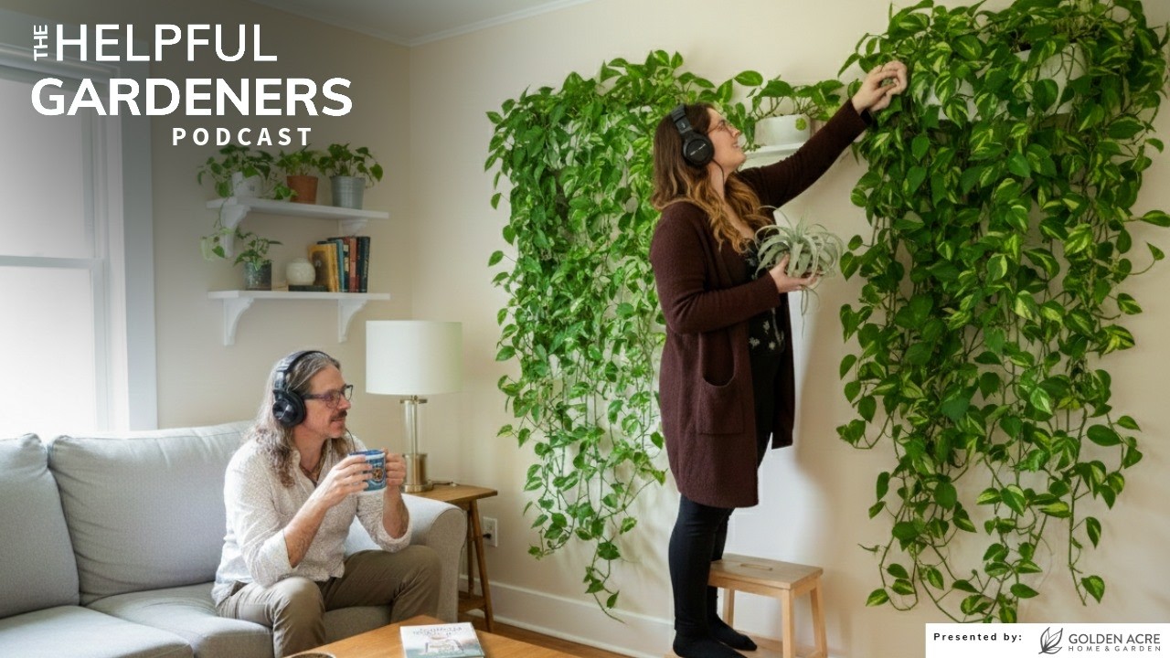 The 5 Love Languages - Plant Edition!