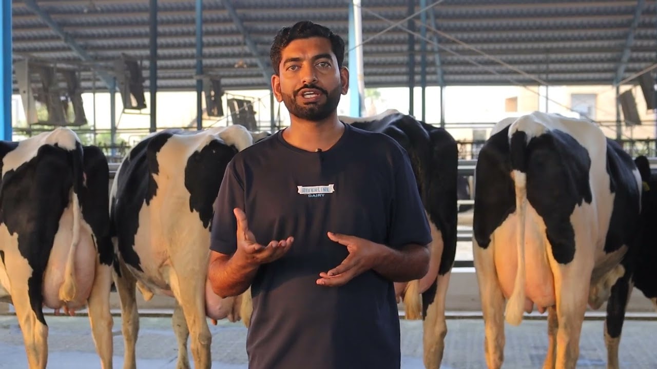 From Aussie Farms to Global Markets: Our Top-Tier Imports! Why Australian Animals Are WORLD-CLASS
