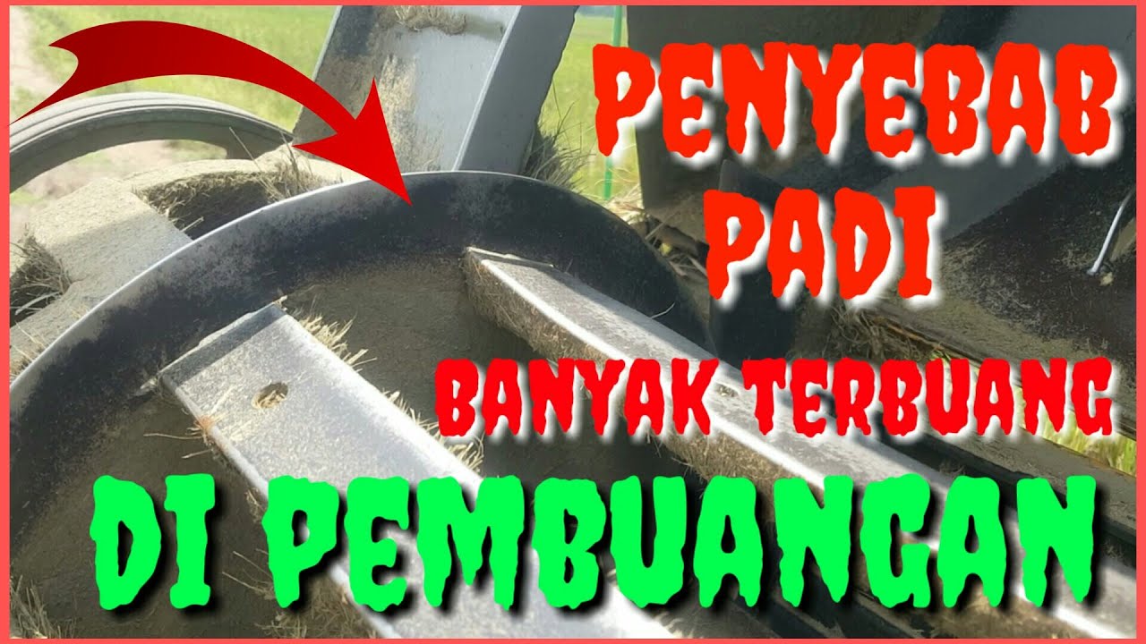 Cara Menghindari Padi Ikut Terbuang Bersama Jerami Di Pembuangan