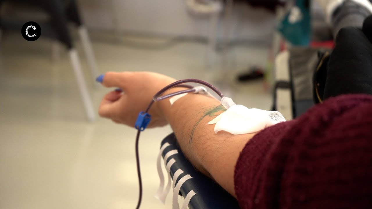 Dar Sangue é Dar Vida | Conheça o percurso do sangue doado em Cascais