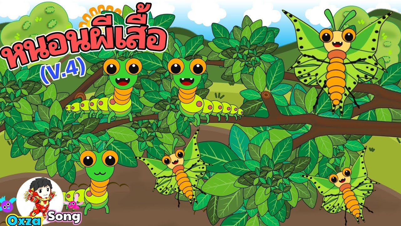 เพลง หนอนผีเสื้อ | เวอร์ชั่น 4 | Oxza Song