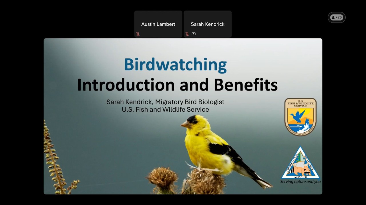 Birdwatching Introduction and Benefits