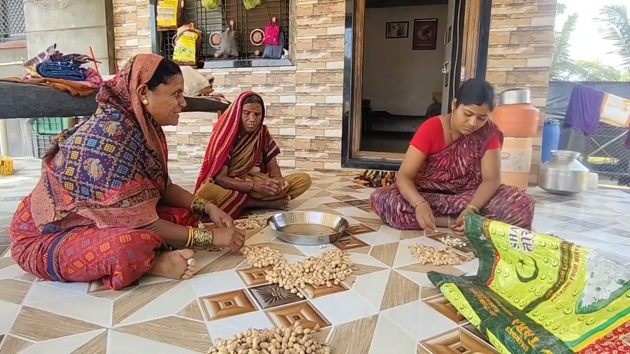 काकडीतल गवत काढून झालं, सगळ्यांनी मिळून दुपारून  शेंगा फोडल्या. 