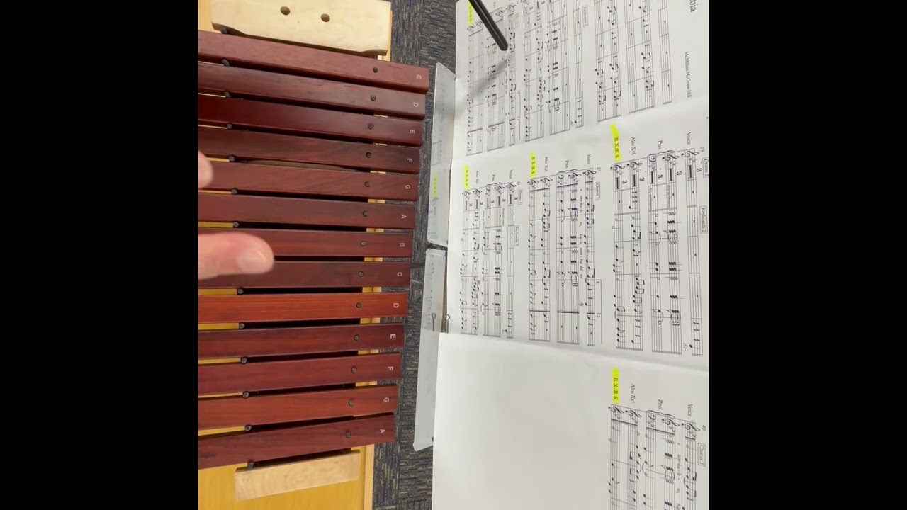 Alto Xylophone (La Cumbia)