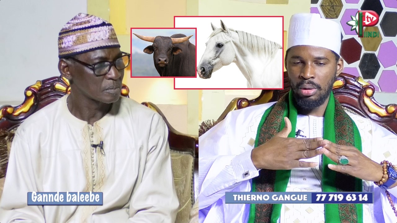 THIERNO GANNGUE et ses secrets mystiques dans Gannde baleebe