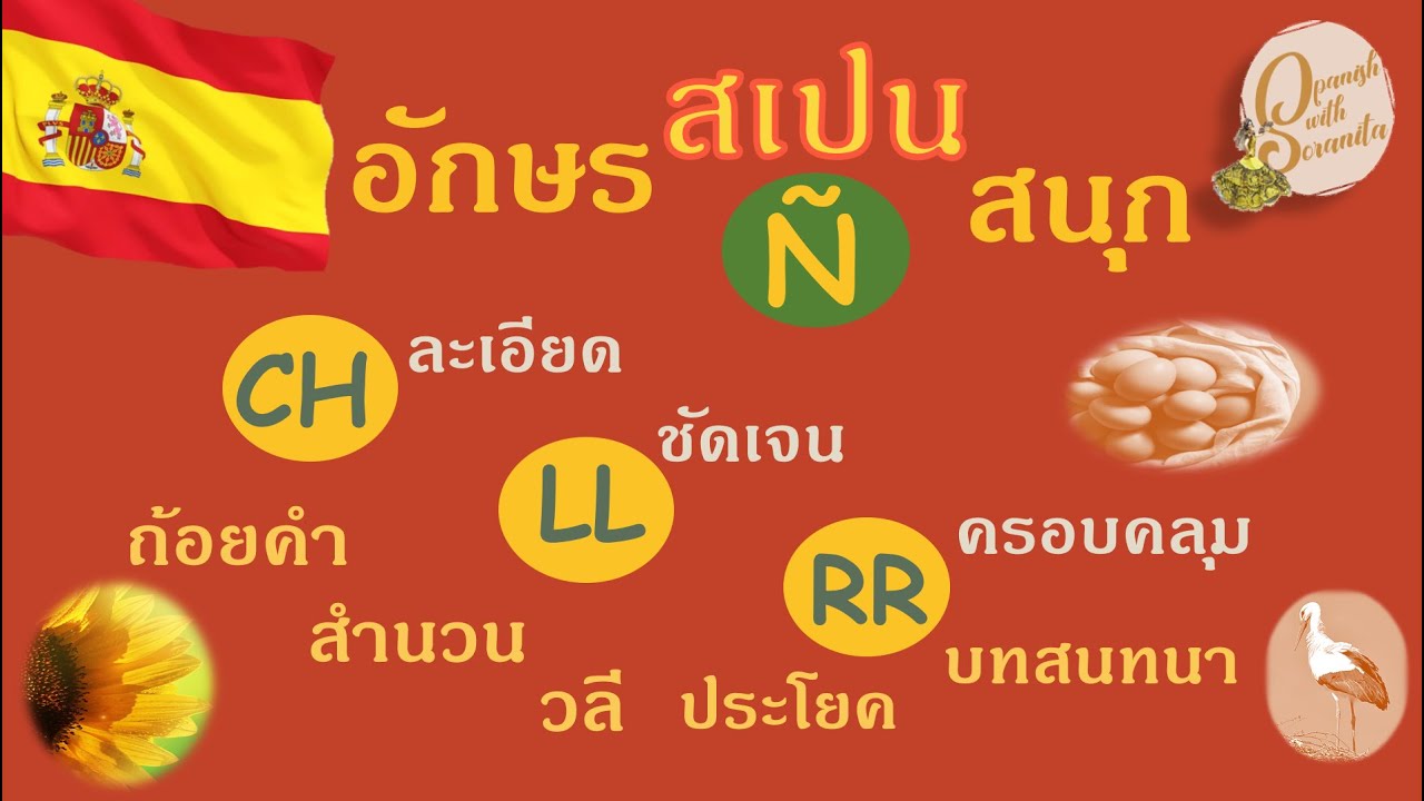 เรียนภาษาสเปน Spanish language ความรู้พื้นฐาน | รู้เรื่องอักษรภาษาสเปน ครบถ้วนในคลิปเดียว