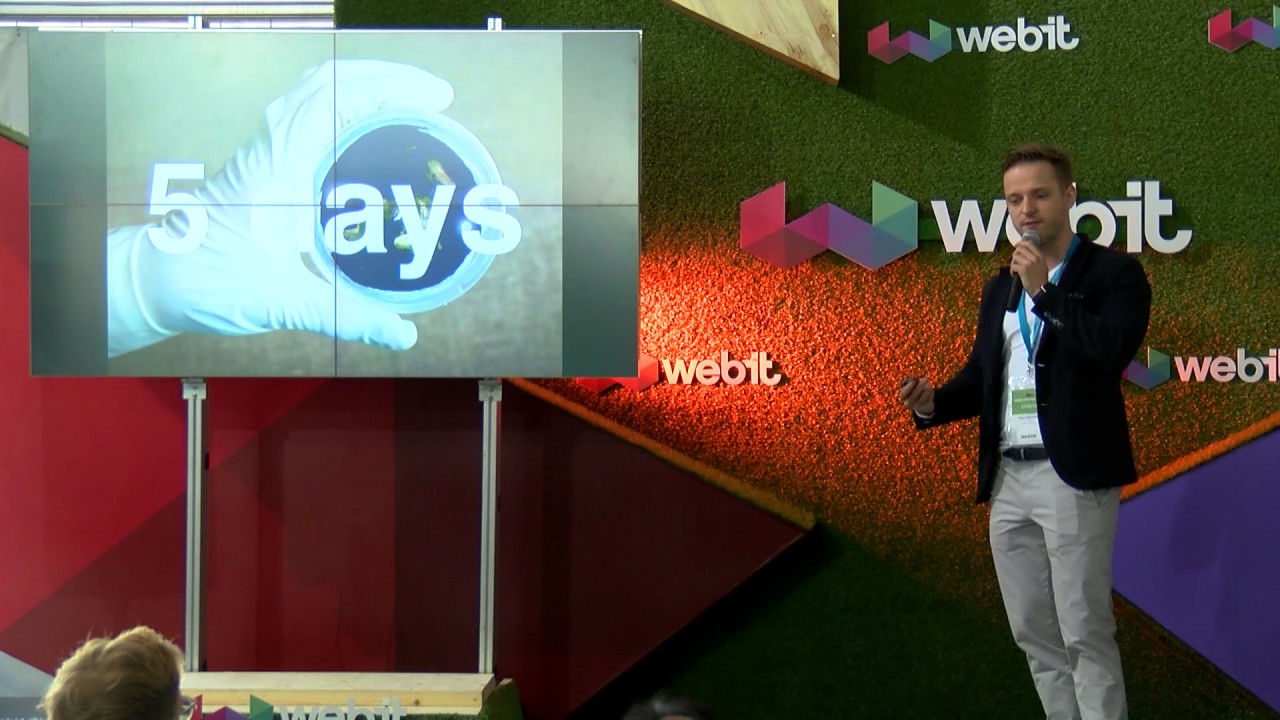 Startup Pitches - Conelum | Webit.Festival 2017 [WINNER]