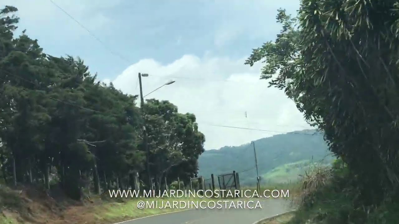 Visita Virtual: Conozcamos 