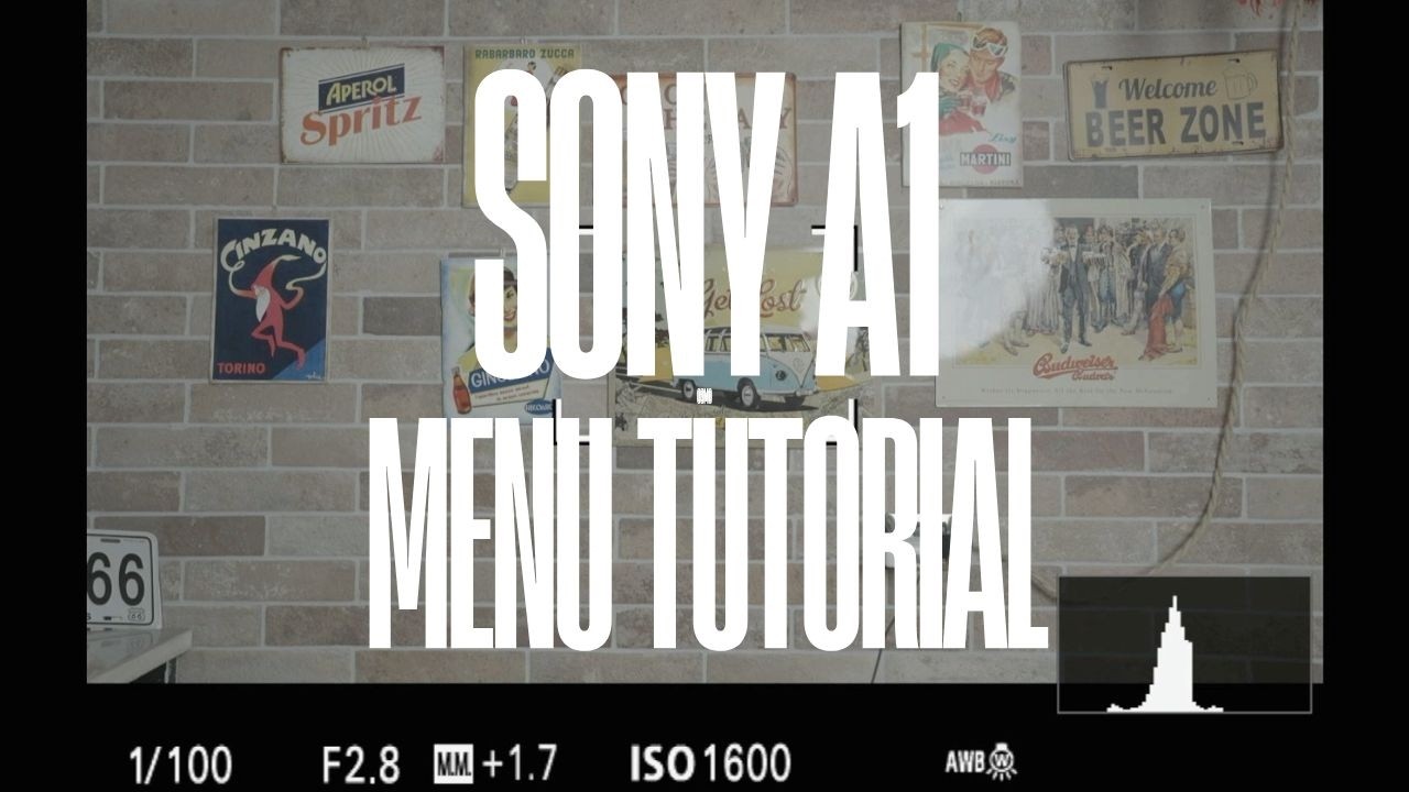 HOW TO USE THE SONY A1 MENU
