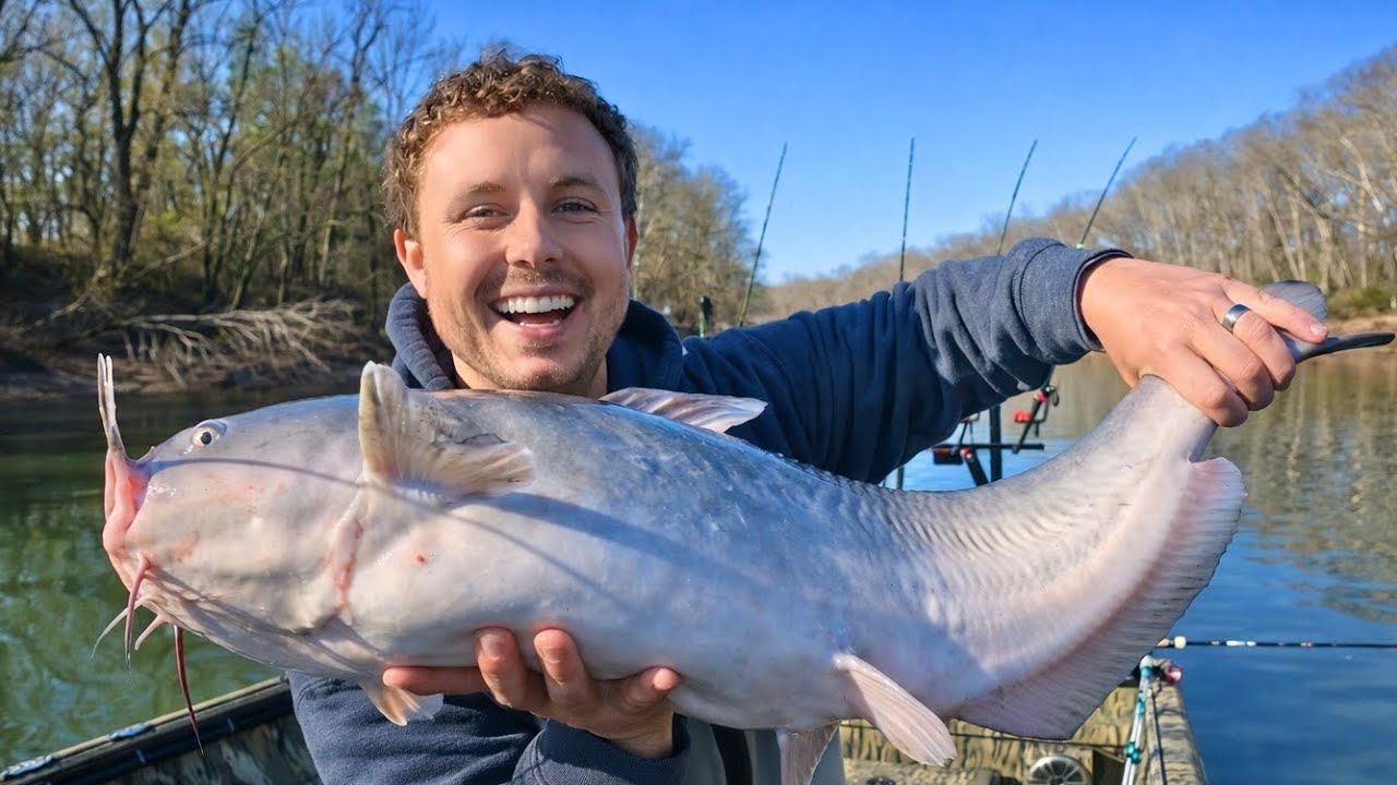 Shad Fishing Tips + Blue Catfish | Real World Catfishing