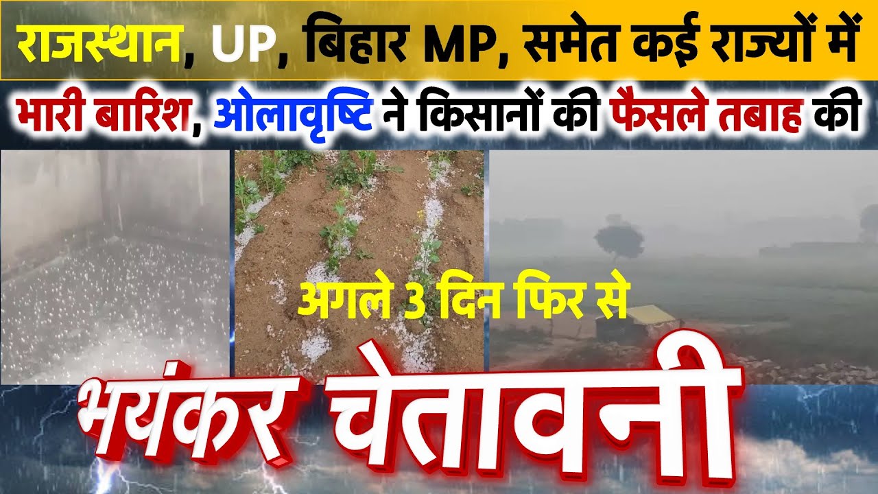 भारी बारिश, ओलावृष्टि ने किसानों की फैसले तबाह की- अगले 3 दिन फिर से भयंकर चेतावनी