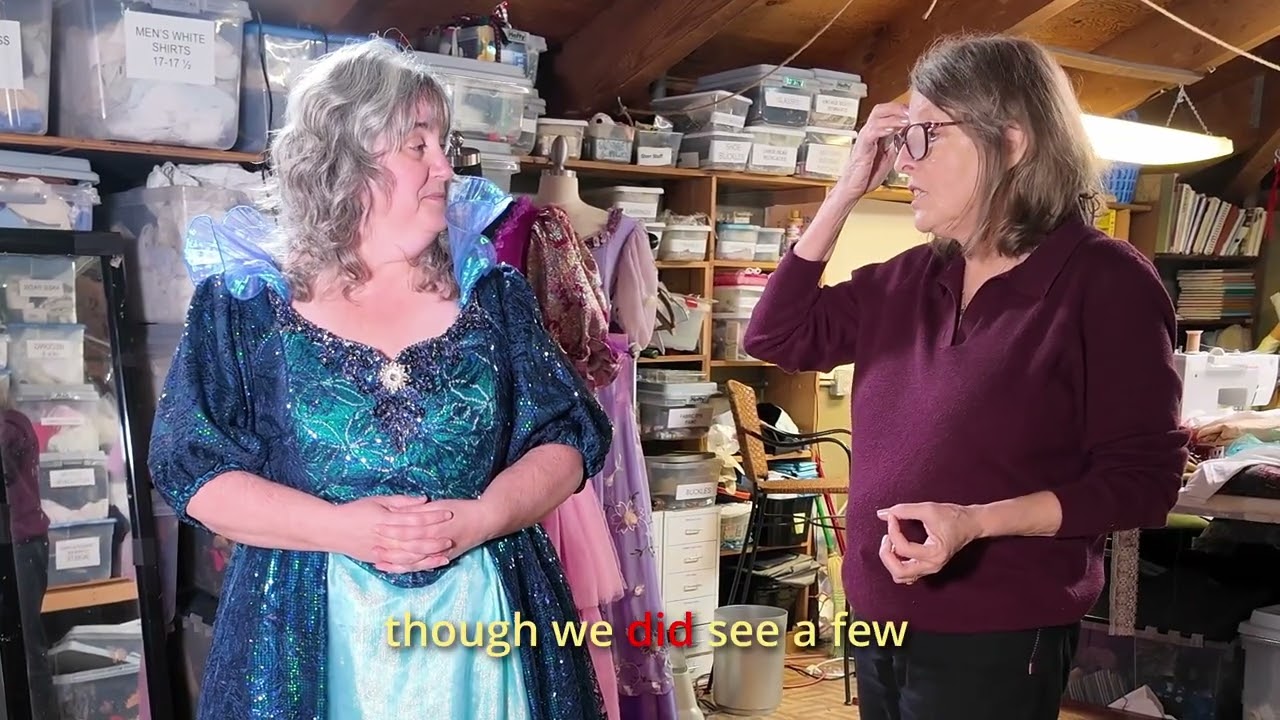 Behind the Seams:  CINDERELLA