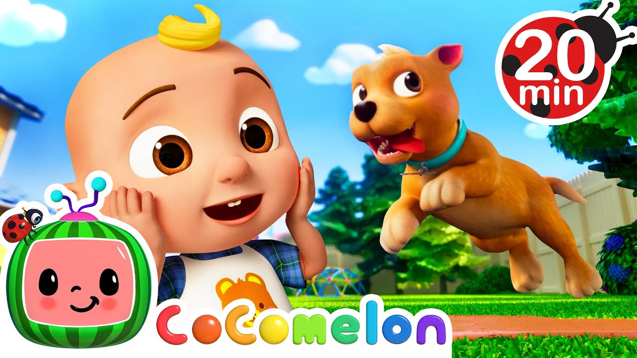 JJ Plays With His Puppy Bingo 🐶 | CoComelon 🍉 | Nursery Rhymes For Kids