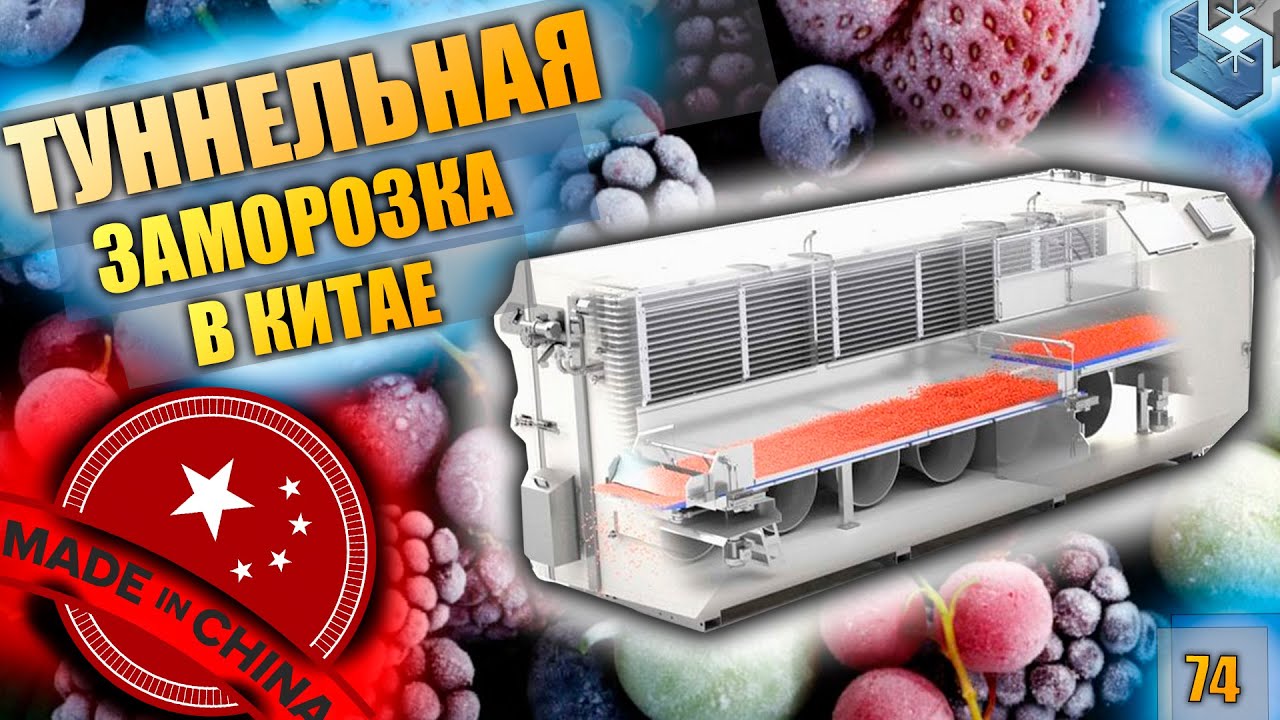 Туннельная заморозка до 100 тонн/сутки. Прослужит ли 