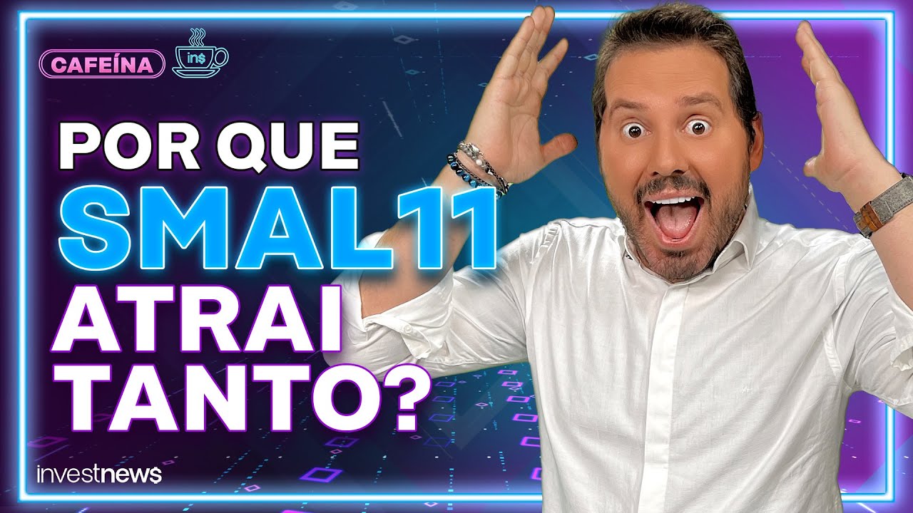 SMAL11: entenda por que o ETF de small caps vem atraindo investidores