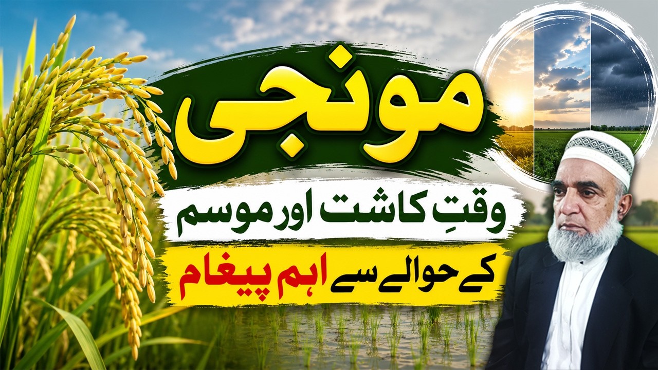 Rice Crop 2026: Important Message About Planting Time & Weather || Crop Reformer