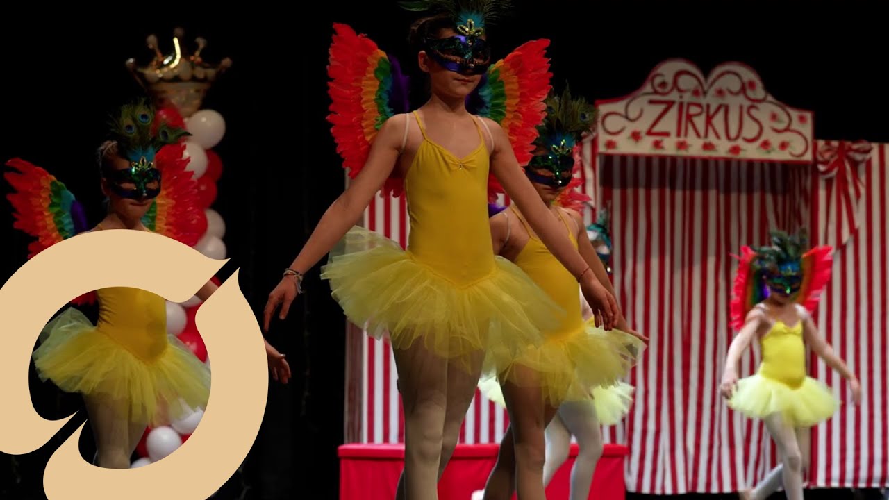 Camille Saint-Sa&euml;ns: Karneval der Tiere - V&ouml;gel | SOL &middot; Tanzschule Armin