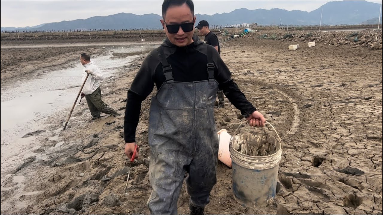 小明接了个稳赚不赔的大项目，塘主承诺抓到的海货对半分，这下赚大发了