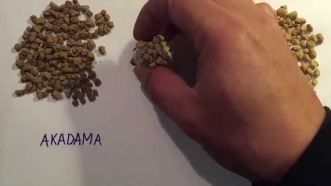 Sencillo experimento con Akadama, Kiryuzuna y un imán