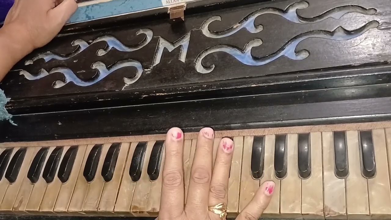 Mera Pyar Woh Hai | Yeh Raat Phir Na Aayegi | Harmonium Cover 