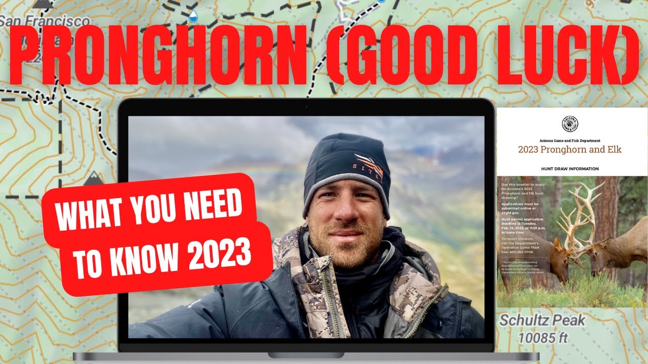 Arizona Pronghorn Antelope Hunting | Complete Breakdown | Hunting Spots + Bonus Point + Draw Odds