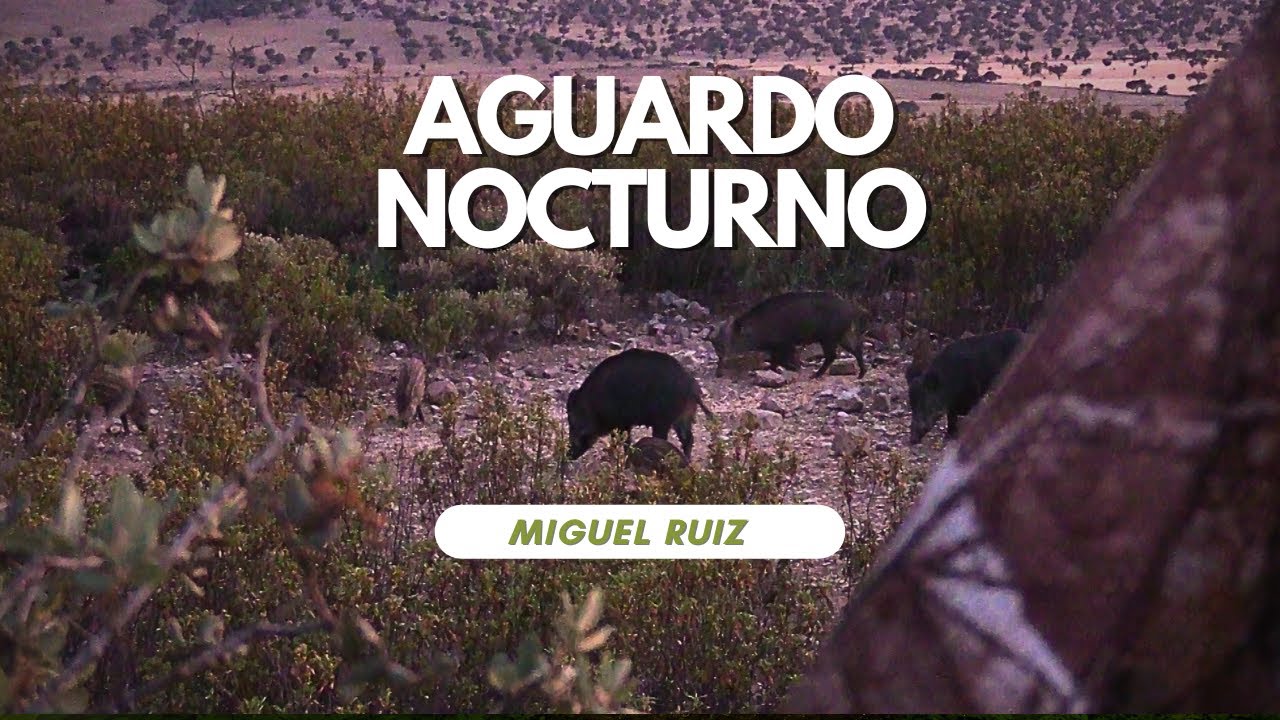 AGUARDO NOCTURNO 2023 | JUNTO A MIGUEL RUIZ 1