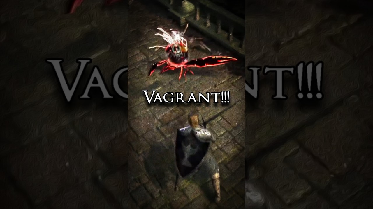 I found a Vagrant in Dark Souls Remastered!