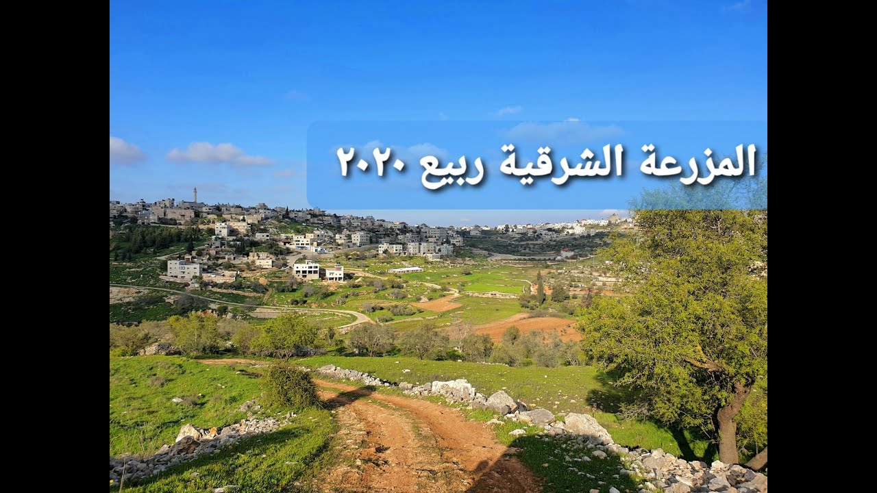 تصوير جوي للمزرعة الشرقية - ربيع 2020