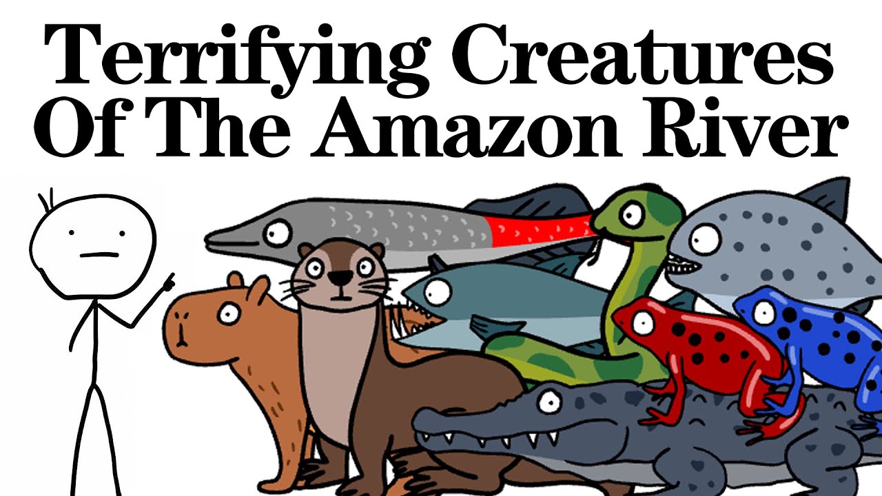 Terrifying Creatures Of The Amazon River！Animal Facts