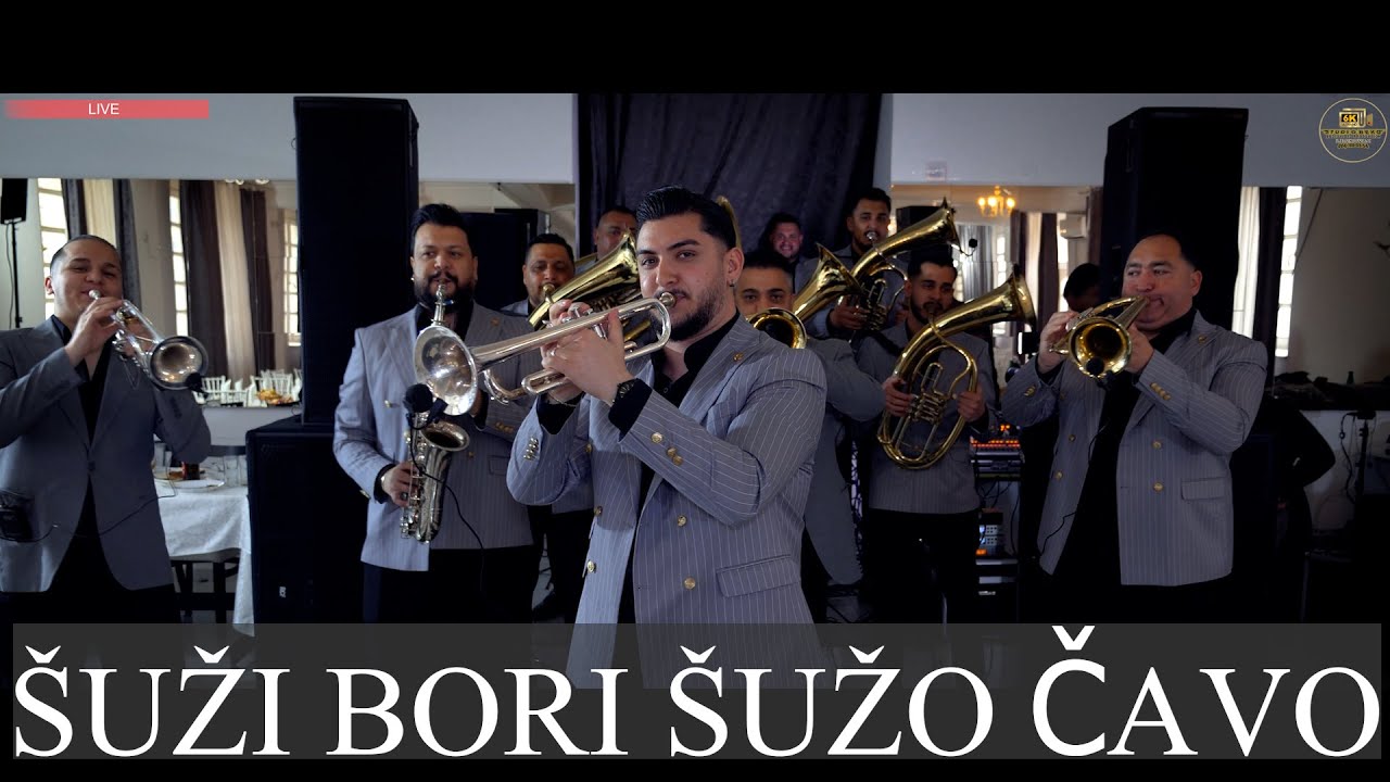 ELVIS AJDINOVIC DEMKO KING SUZI BORI SUZO CAVO COVER  MASHALLAH GAZOZA BEND(STUDIO BEKO) 6K LESKOVAC