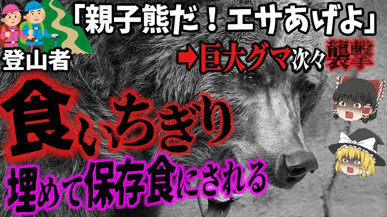 【食い尽くされる登山者】一度襲われたら防御策はナシ！息を潜め「待ち伏せする巨大熊」が次々襲撃『登山中の熊害事故』