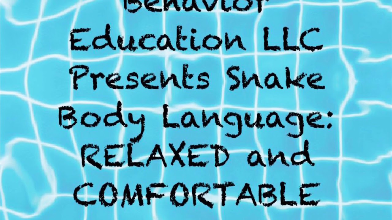 Snake Body Language 1