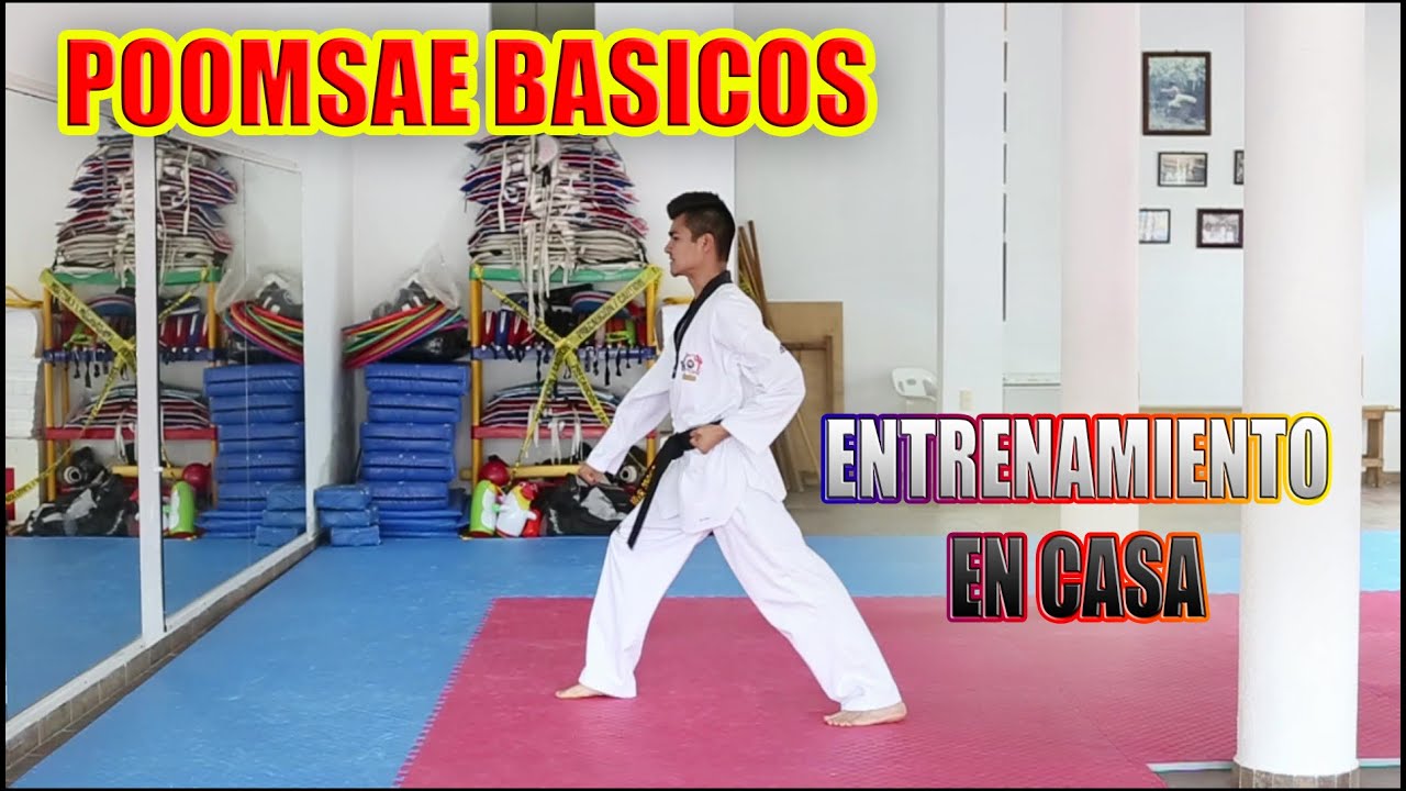 4 FORMAS BÁSICAS/TAEKWONDO
