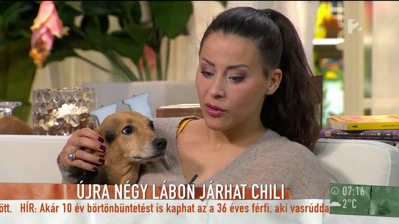 A rendőrség is tehetetlen a kutyaszaporítókkal szemben? - tv2.hu/mokka