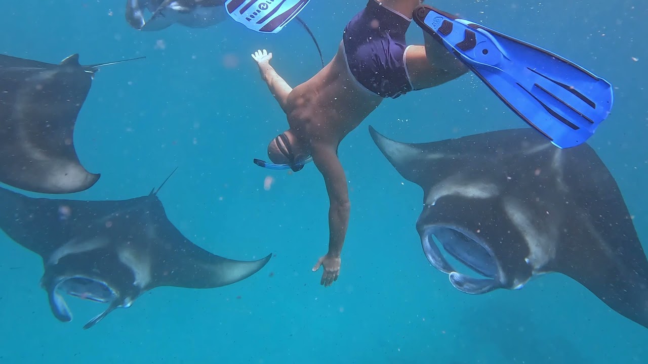Maldives, Dusit Thani, snorkeling with GoPro Hero 10 2021 - #Gopro hero 10 #gopro underwater