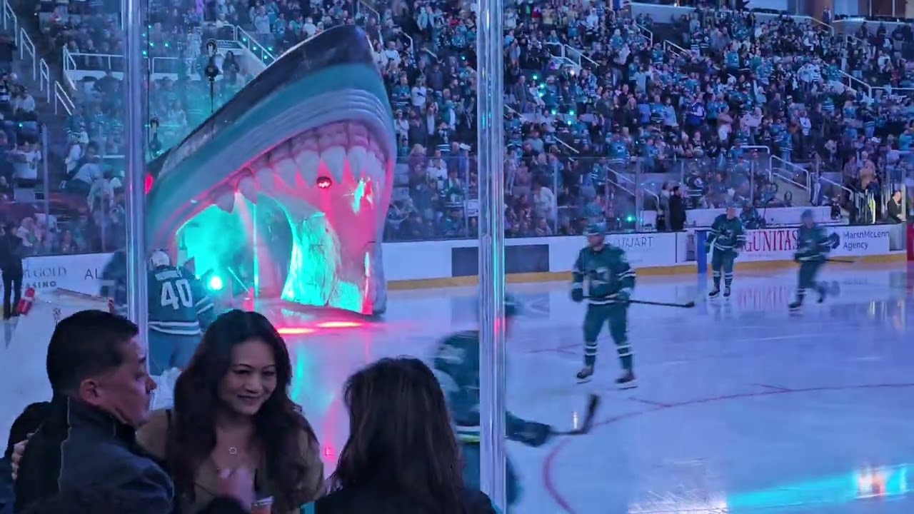 let's go Sharks!!