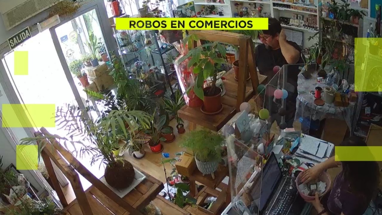 El 'estafador de comercios' vuelve a actuar, esta vez en una tienda de plantas de Leganés