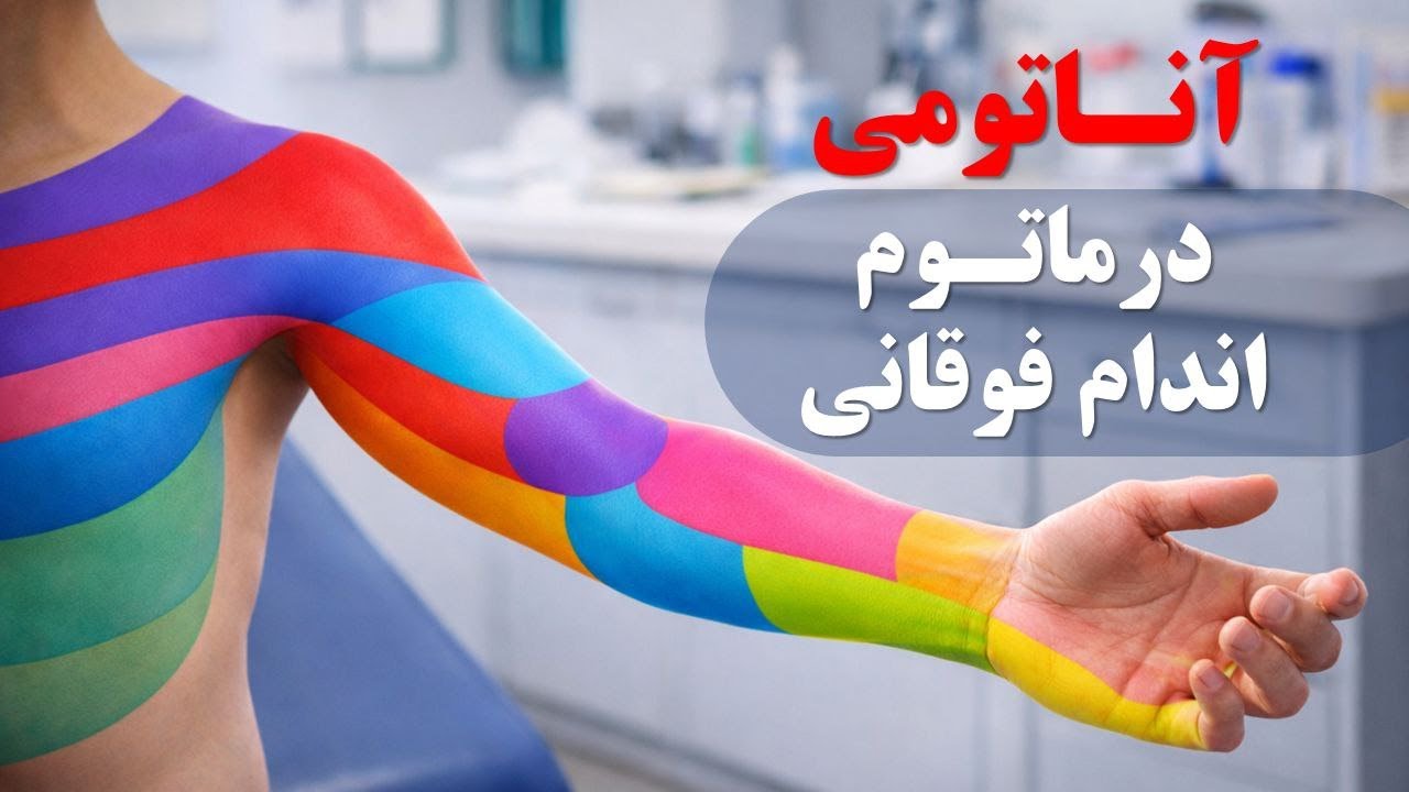 آناتومی درماتوم‌های اندام فوقانی | Clinical Anatomy of Upper Limb Dermatomes