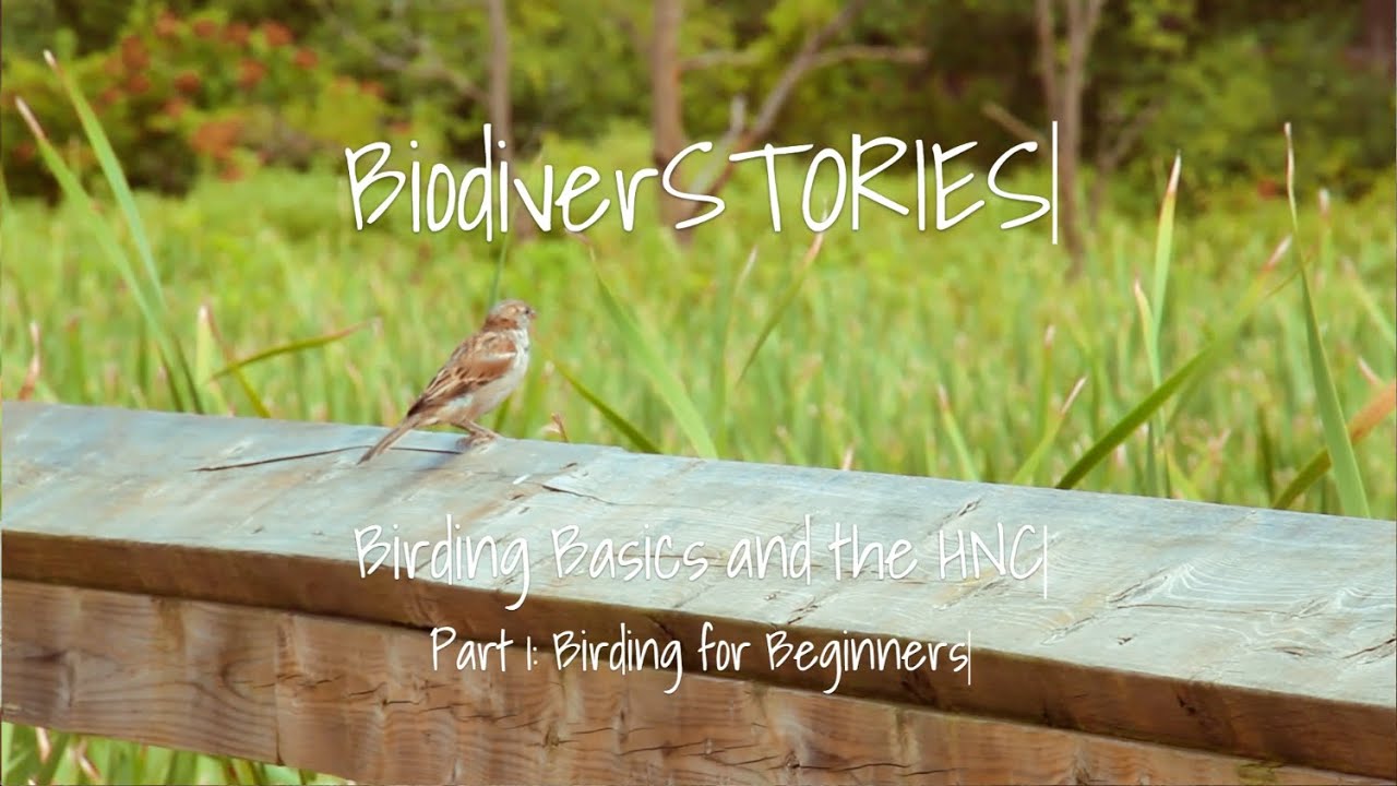 BiodiverSTORIES: Birding Basics and the HNC with Jackson Hudecki (Part 1)