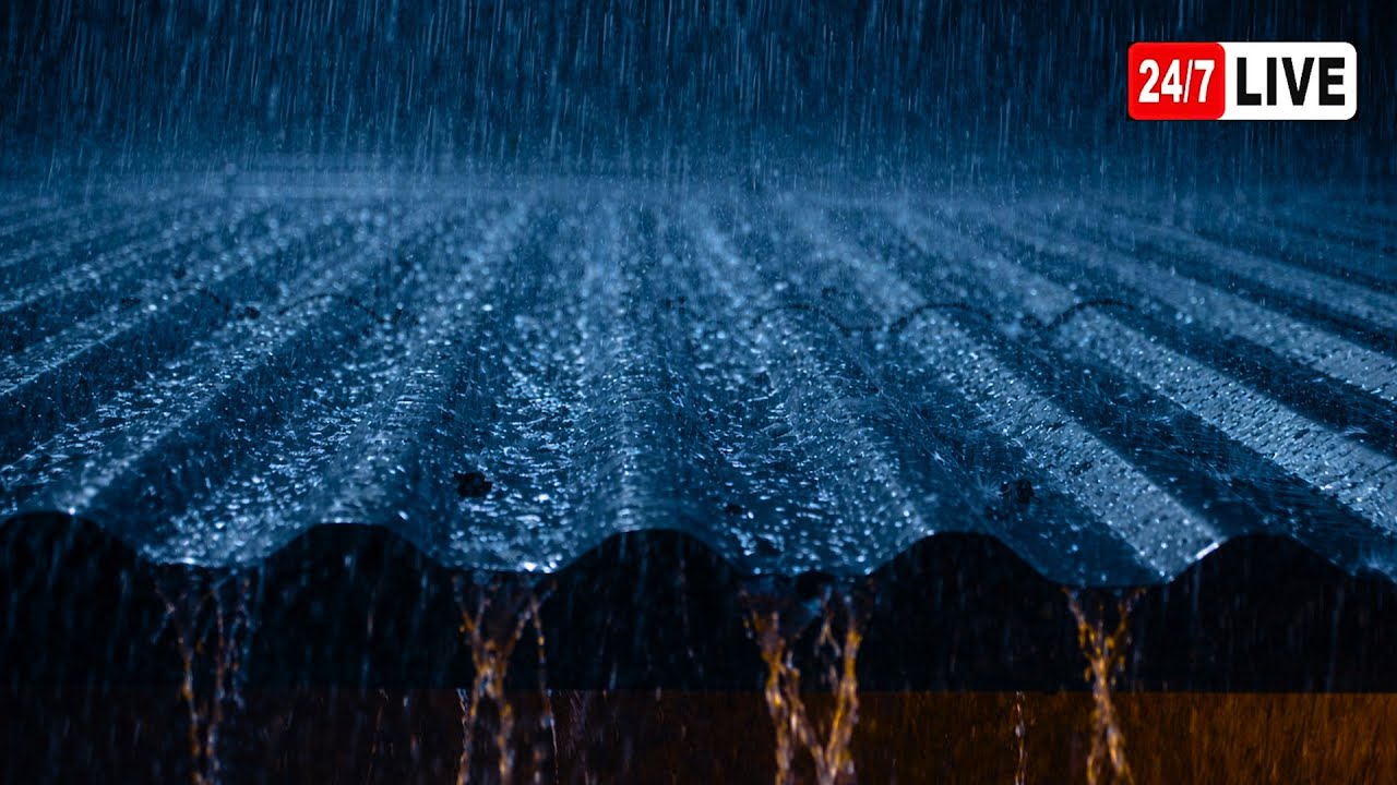 Som de Chuva Pesada para Dormir Profundamente - Barulho de Chuva, Tempestade, Trovão #47 Rain Sounds
